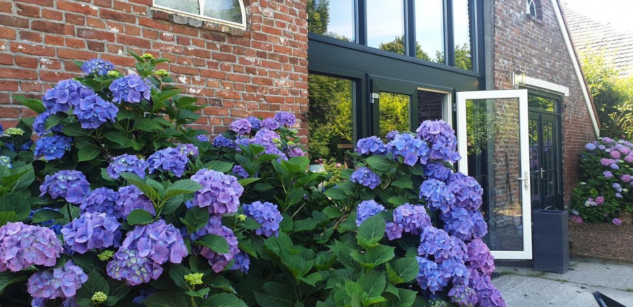 Boeren Maison Wedde Exterior photo